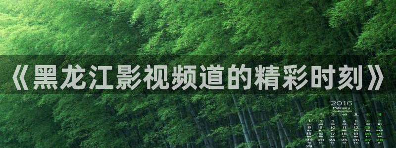 电影琪琪影院：《黑龙江影视频道的精彩时刻》