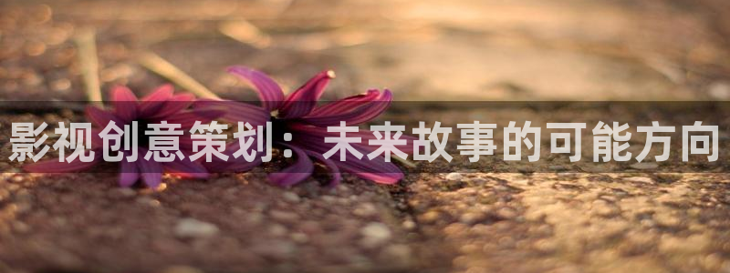 飘花影院琪琪：影视创意策划：未来故事的可能方向